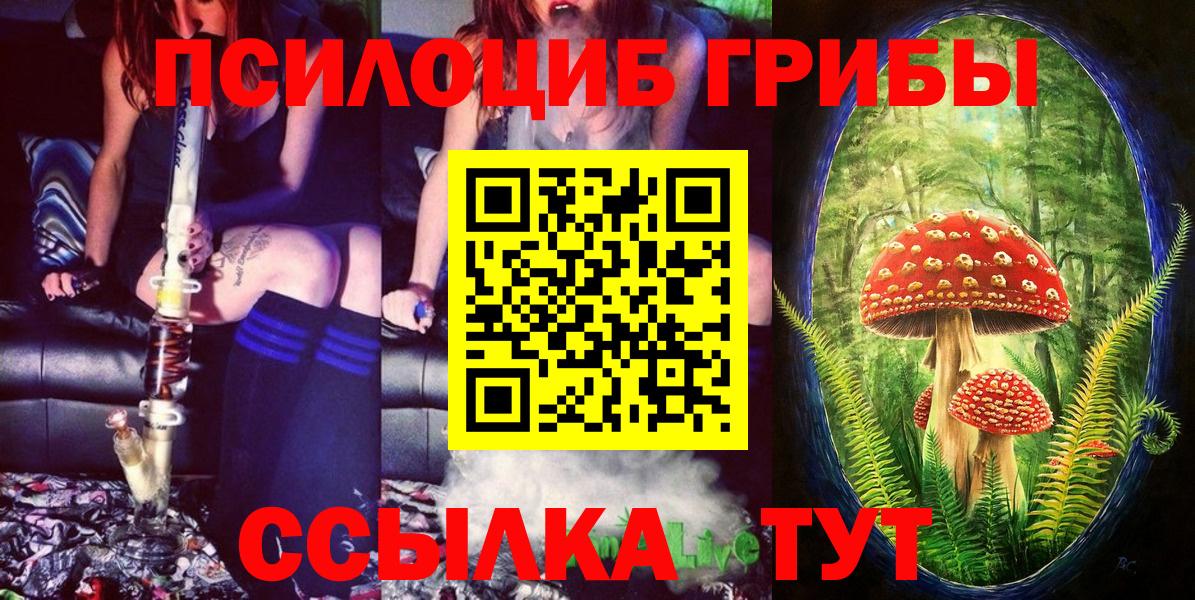 Псилоцибиновые грибы прущие грибы  Галлюциногенные грибы мухоморы  Кольчугино  Вход с VPN 